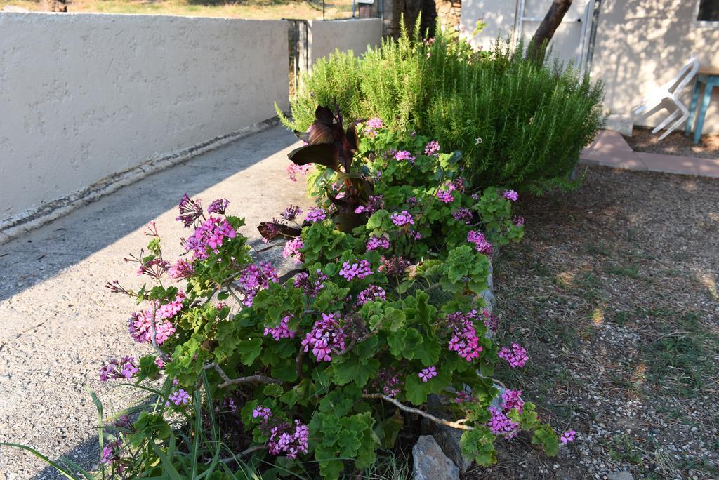 Antonis Apts, Physio Fitness Retreats Plakias Exterior foto